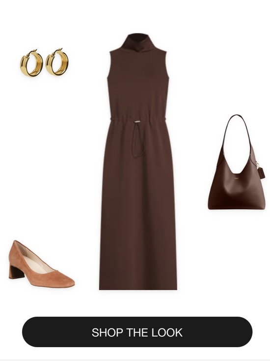 ANTONIO MELANI Dresses & Skirts - NWT Antonio Melani Lyocell Sleeveless Mock Neckline Midi Dress - Chocolate - M